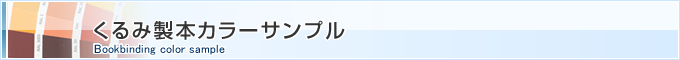 ݐ{J[Tv