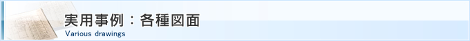 pFe}
