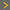 navi