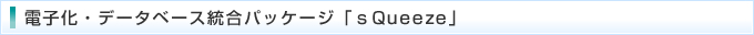 dqEf[^x[XpbP[WuQueezev